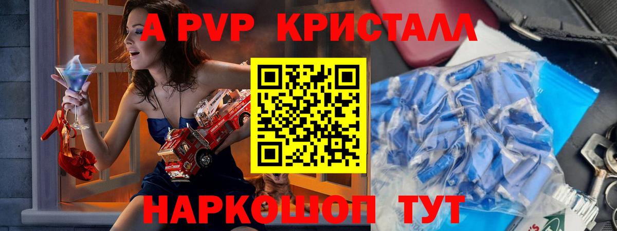 Alfa_PVP СК Новозыбков