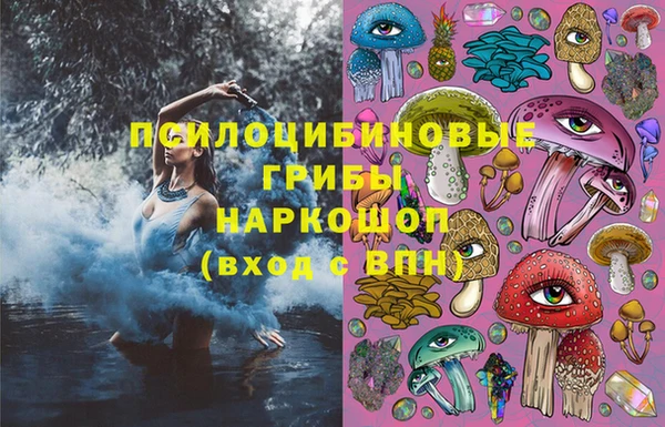 прущие грибы Осинники