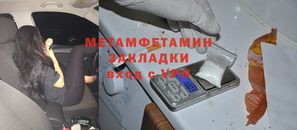 прущие грибы Осинники
