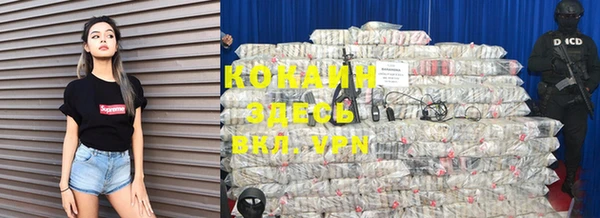прущие грибы Осинники