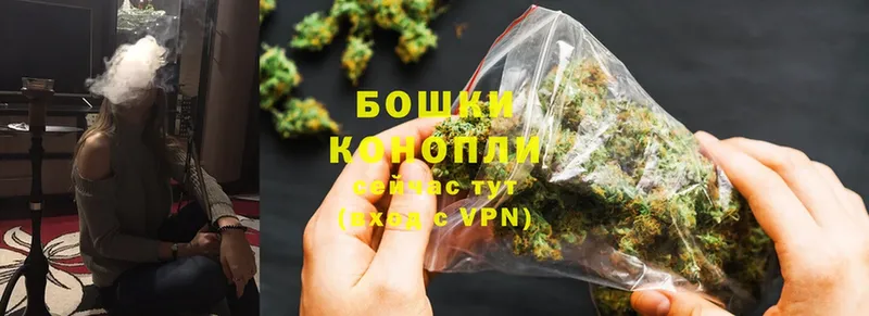 Конопля OG Kush  сколько стоит  ОМГ ОМГ онион  Новозыбков 